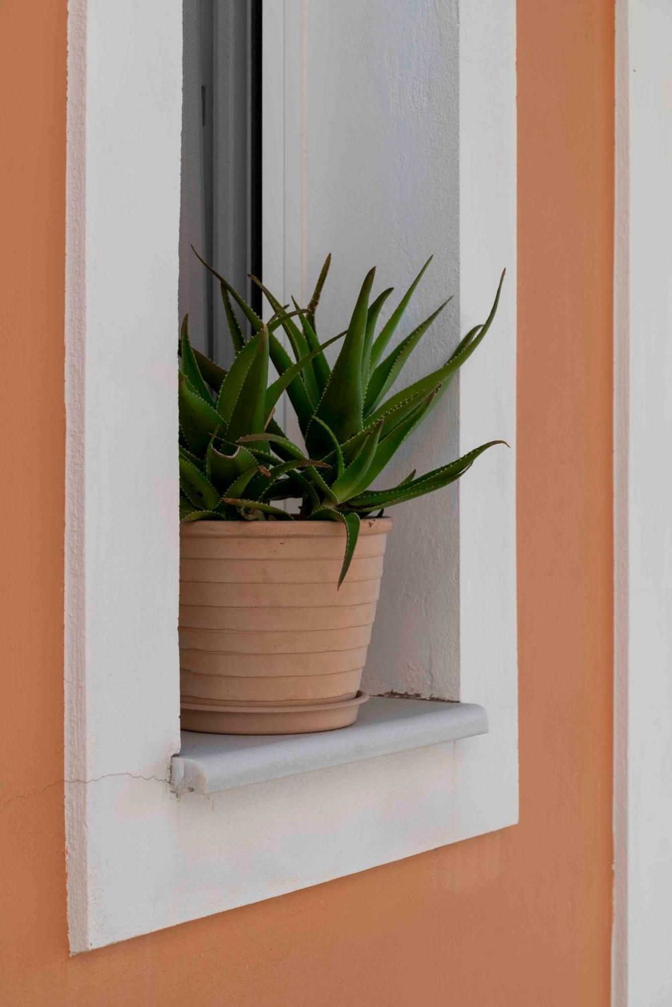 Aparthotel San Lazzaro Nydri  Esterno foto